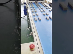 Papa Yüksek Hızlı Çok Hatlı Protein Hurma Çubuğu Ekstruder Makinesi